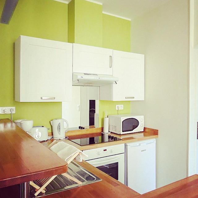 Barla 3 - A Spacious One Bedroom Apartment Near Place Garibaldi 尼斯 外观 照片