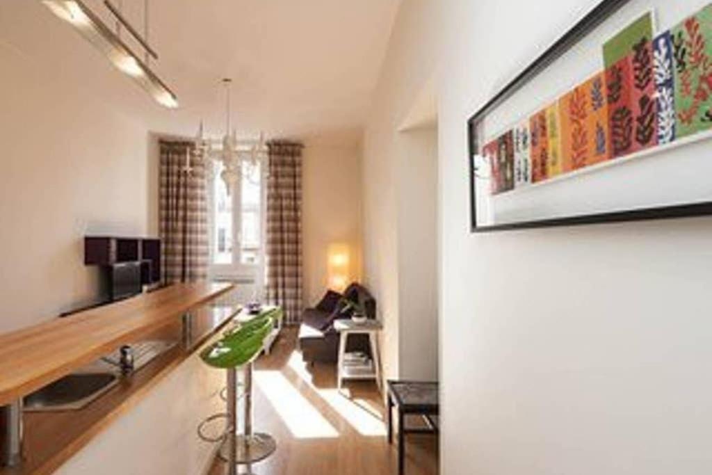 Barla 3 - A Spacious One Bedroom Apartment Near Place Garibaldi 尼斯 外观 照片
