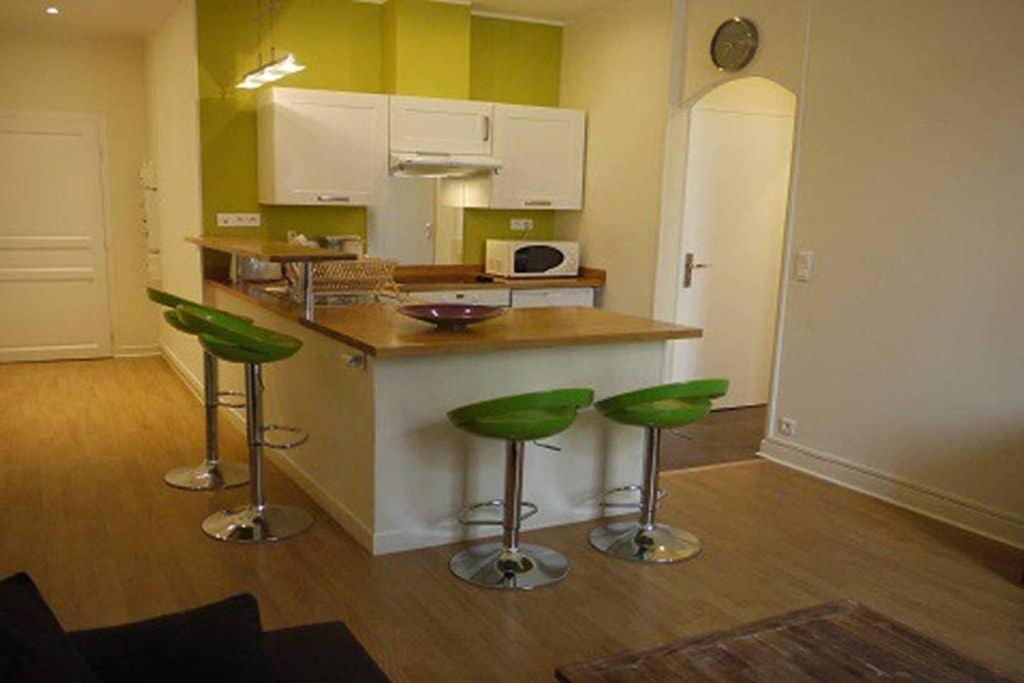 Barla 3 - A Spacious One Bedroom Apartment Near Place Garibaldi 尼斯 外观 照片