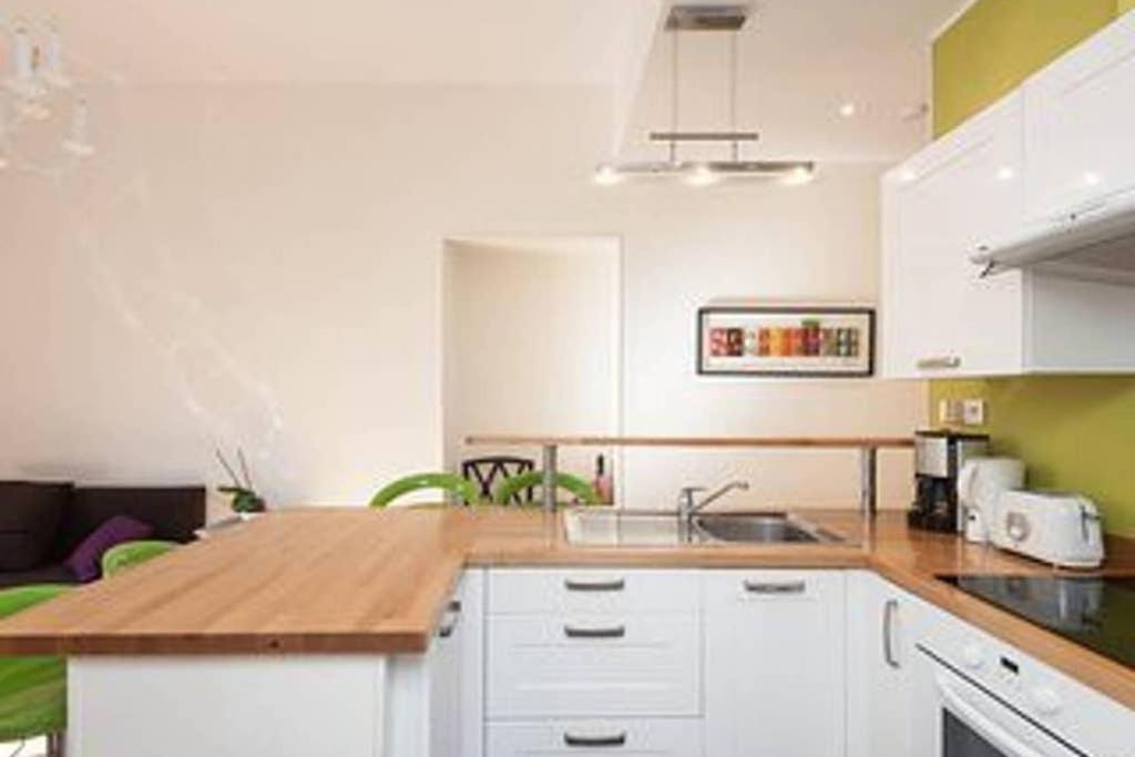 Barla 3 - A Spacious One Bedroom Apartment Near Place Garibaldi 尼斯 外观 照片
